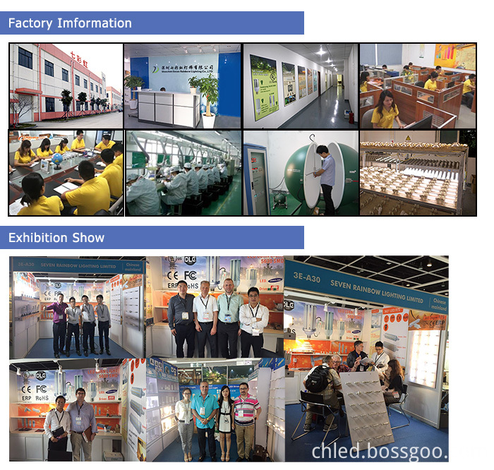 Company Company