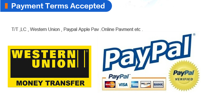 Payment term Payment term