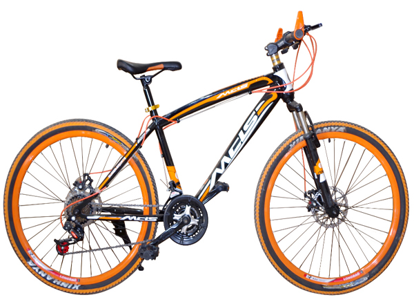 mountain bike mountain bike