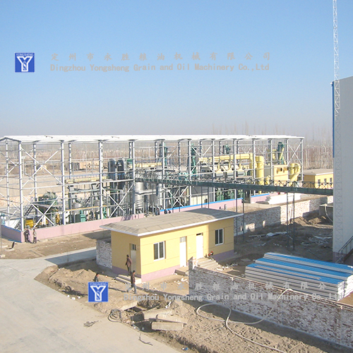 300T Oil Press Turnkey Project 300T Oil Press Turnkey Project